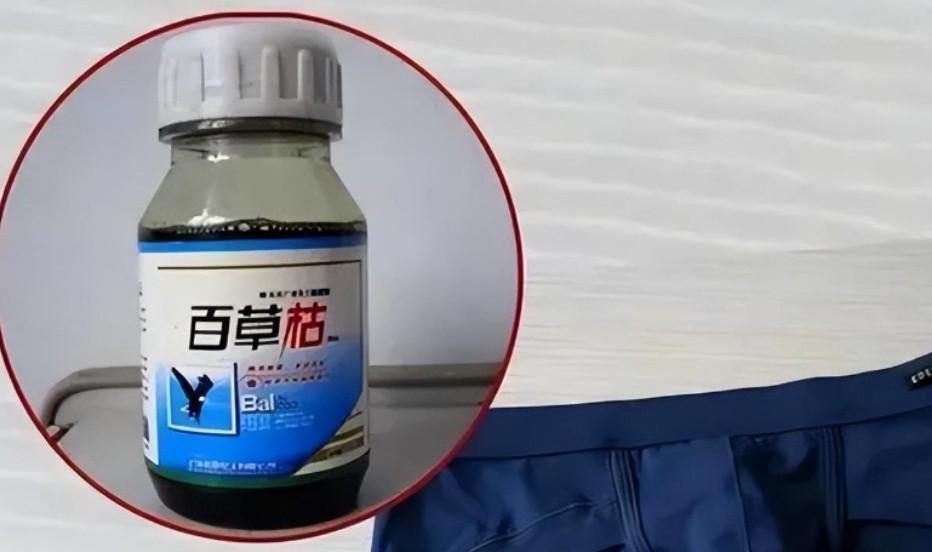 回顾女子疑心前夫出轨将其内衣浸泡百草枯致前夫毒发身亡