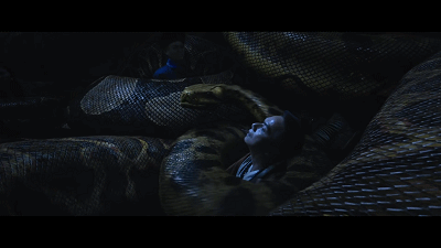 狂蟒之灾翻拍票房一骑绝尘横扫网络电影票房第一