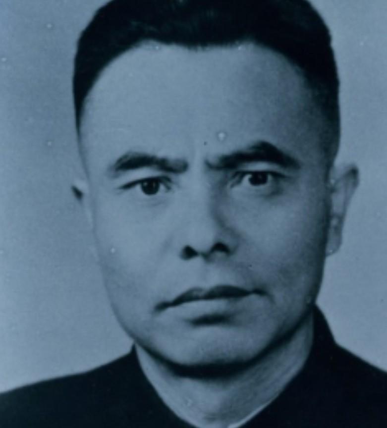 让上海的本地人帮这个忙,在上海视察海防时,见到了上海市公安局长杨帆