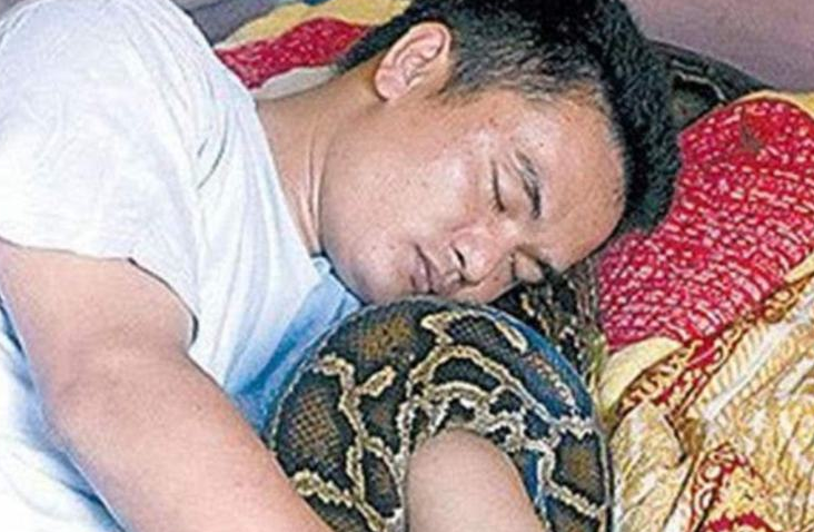 1996年海南小伙救下蟒蛇巨蟒报恩十年为主人看家护院抓小偷