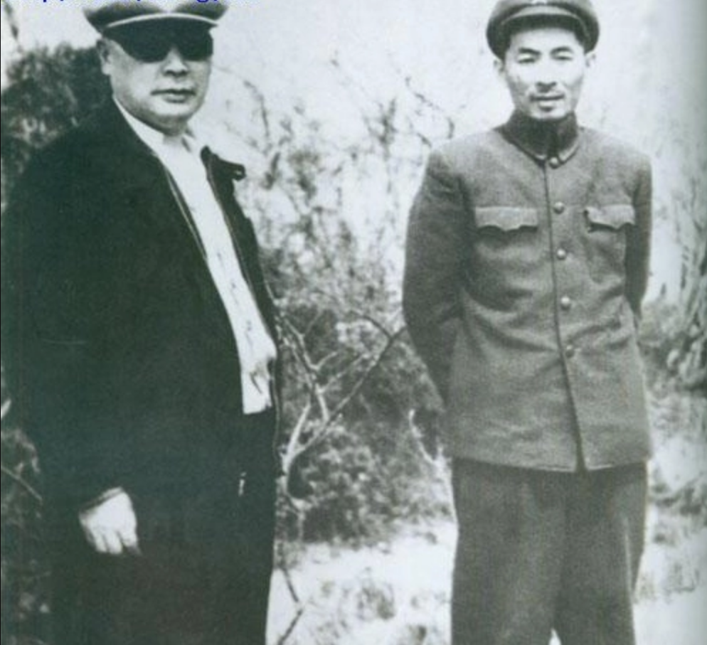 44年叶飞去牙医诊所看病看到墙上的字画回来后急令抓捕老医生