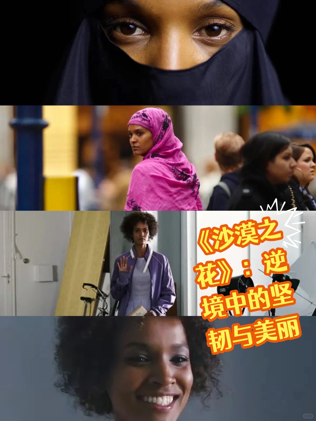 《沙漠之花》:逆境中的坚韧与美丽  华莉丝的故事如沙漠中的绿洲,充满