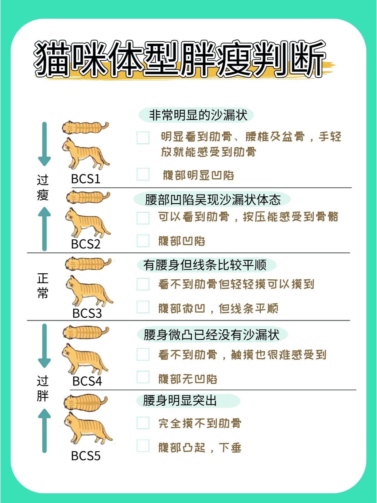 为什么做到一半就软了怎么回事 为什么做到一半就软了怎么回事