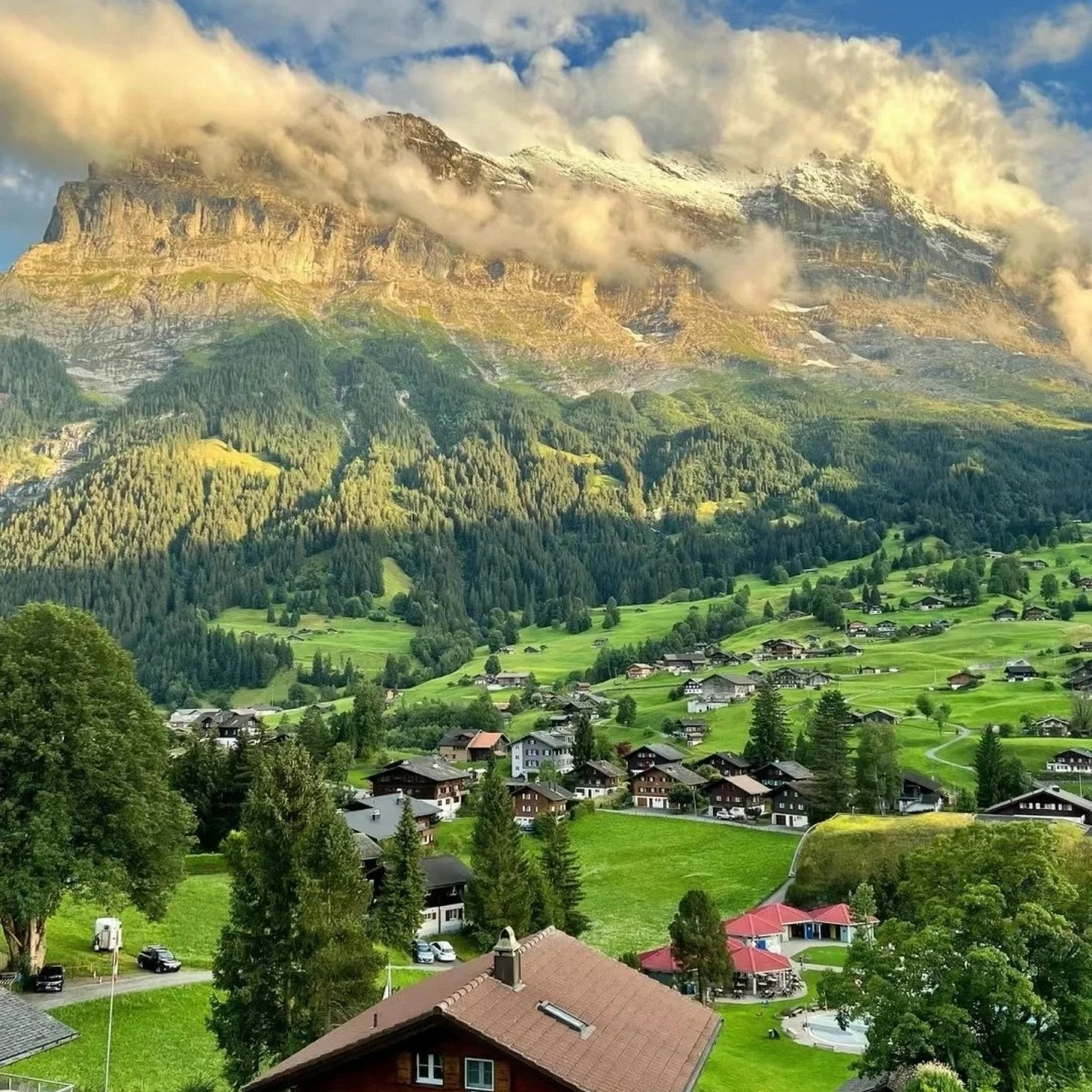 风景头像  "想让你的头像充满大自然的魅力吗?