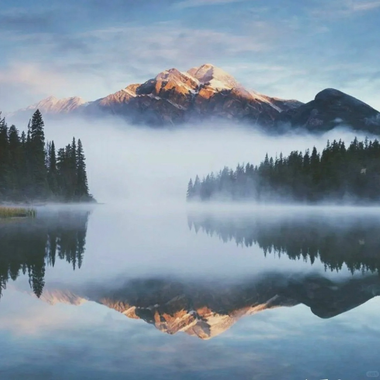 风景头像  "想让你的头像充满大自然的魅力吗?