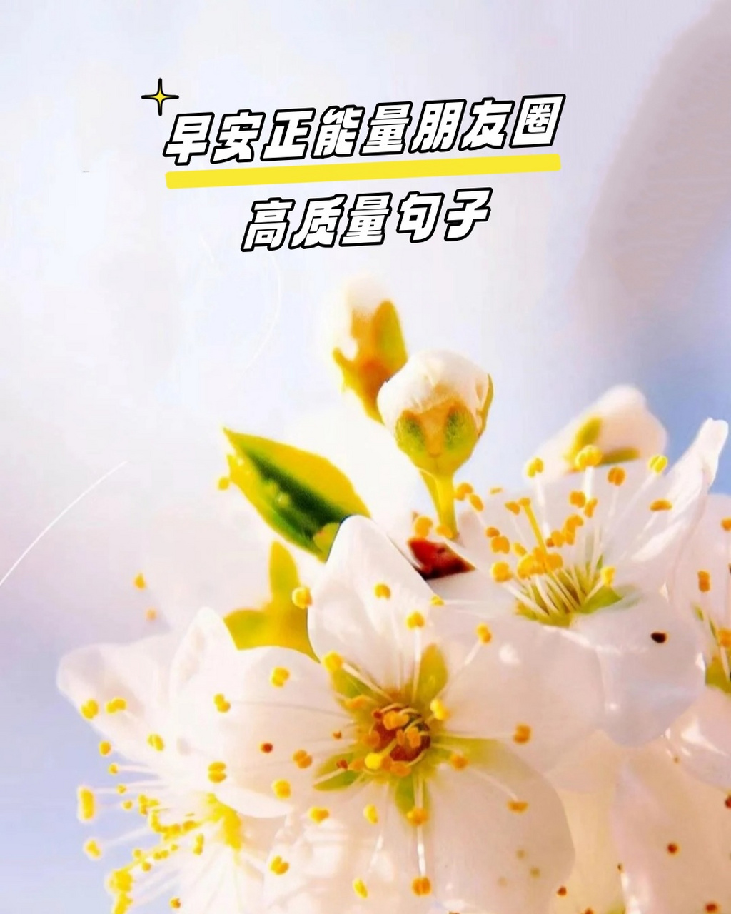 励志正能量早安朋友圈句子简短(励志正能量早安朋友圈句子简短图片)