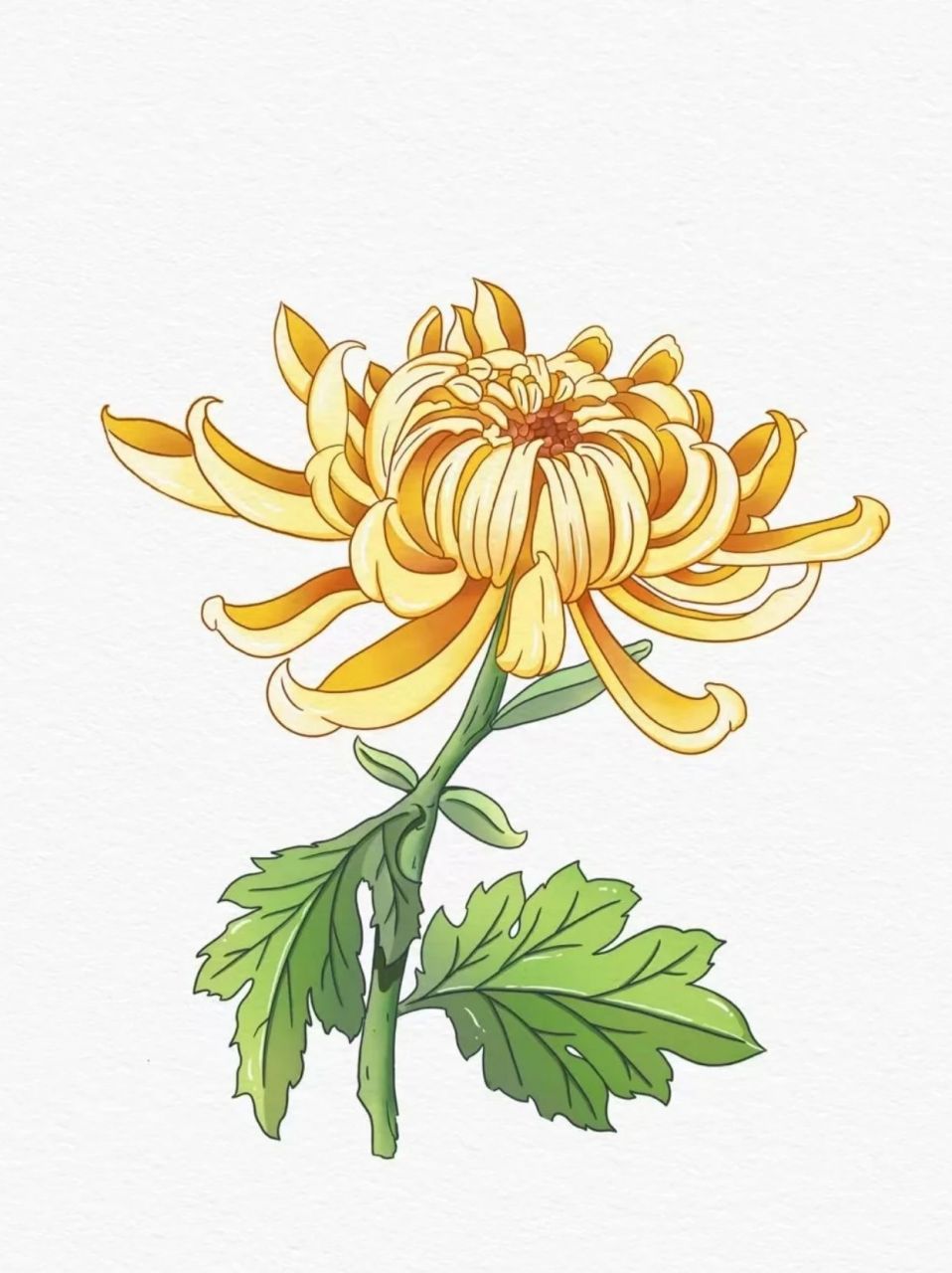 菊花简笔画简单又漂亮  菊花简笔画是一种简单而优雅的绘画方式,用几