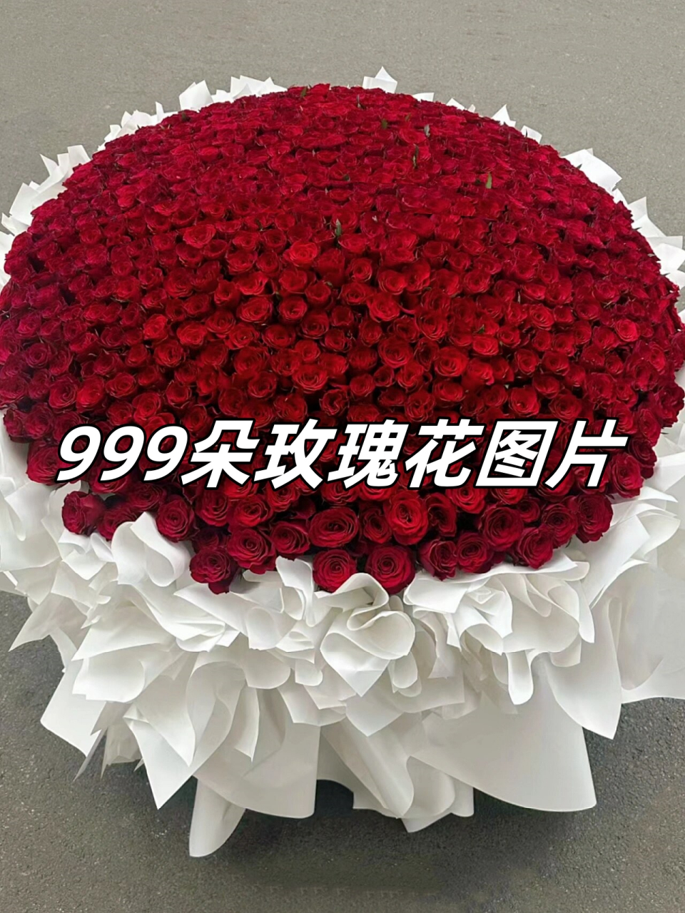 999朵玫瑰花图片  98快看这惊艳的 999 朵玫瑰花图片!