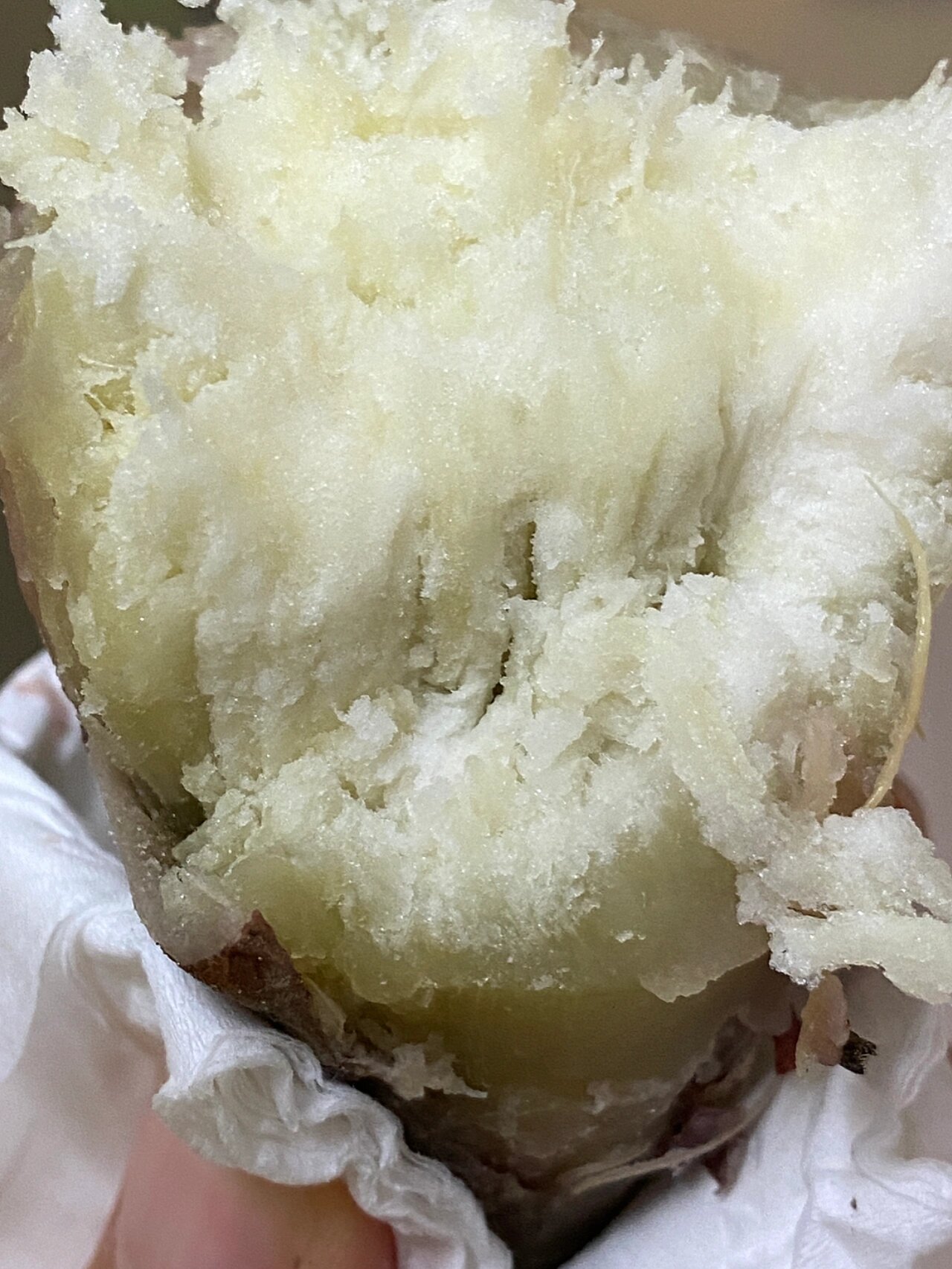 白薯的生长过程充满了生命力