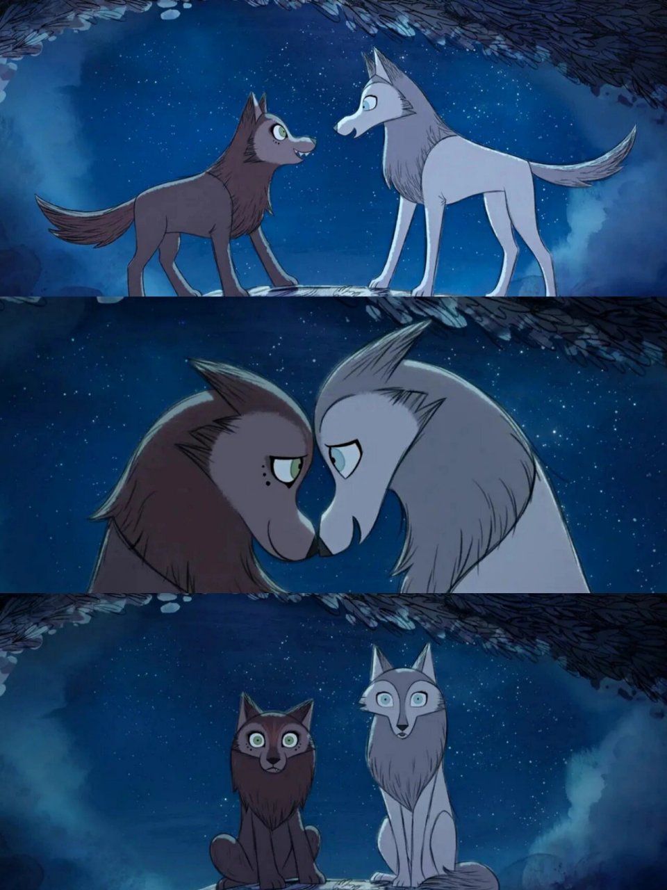 爱尔兰民间传说❗女孩子们的友情与自由‼️  🎥《狼行者》  