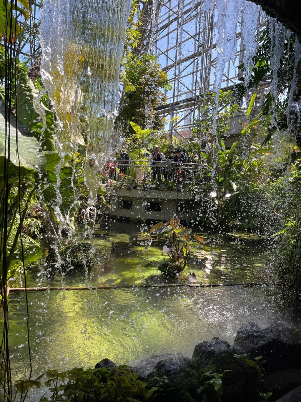 梦之岛一日游,热带植物园和海港码头  今天东京的风真是大得可以,本来