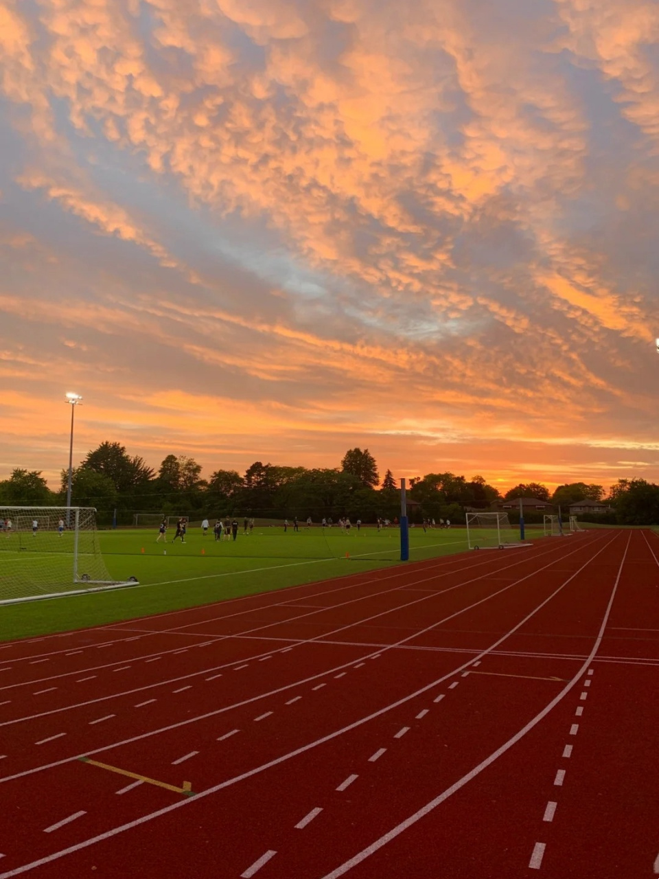 学校图片 宝子们9592分享一组学校的美照99!