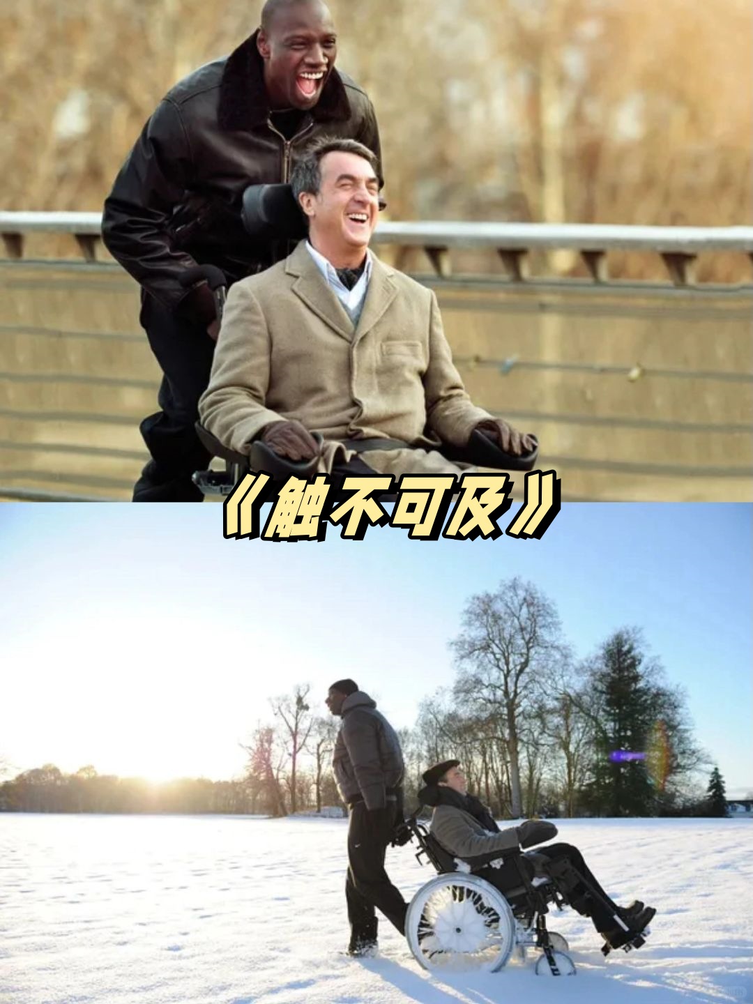 这部电影改编自真实事件,讲述富翁菲利普与刚出狱的