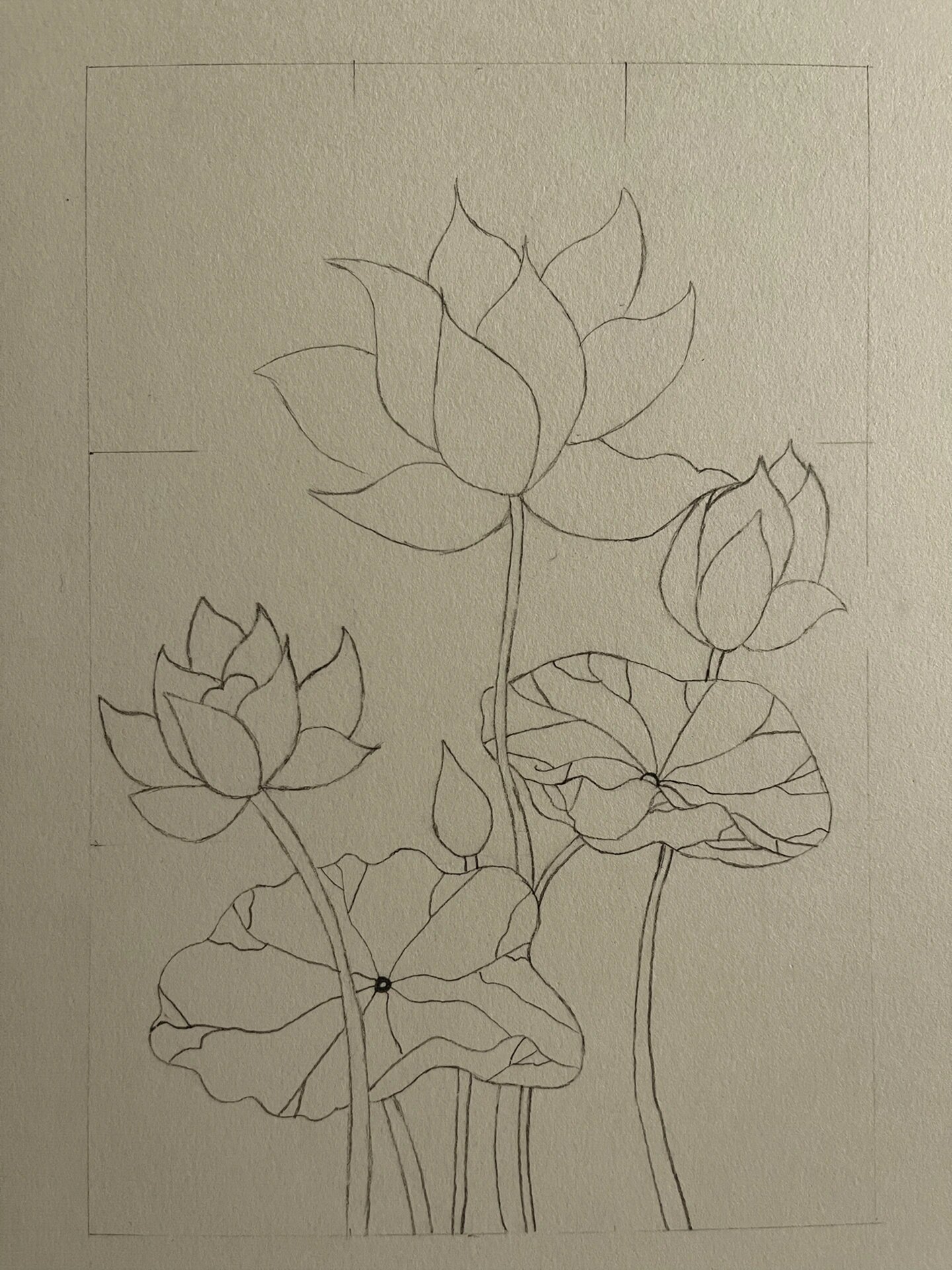 荷花图片大全绘画   荷花图片大全绘画