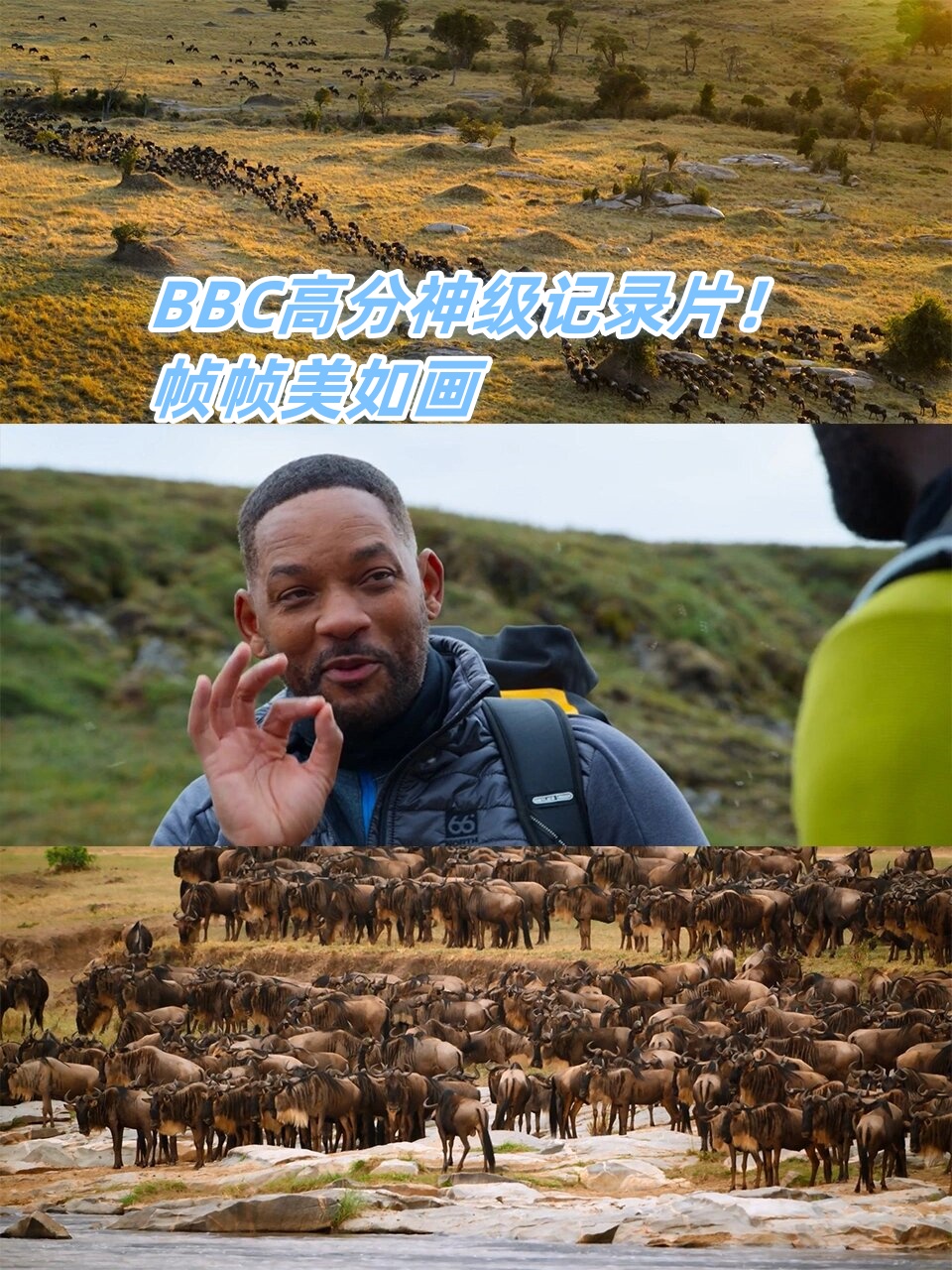 bbc高分神级记录片!