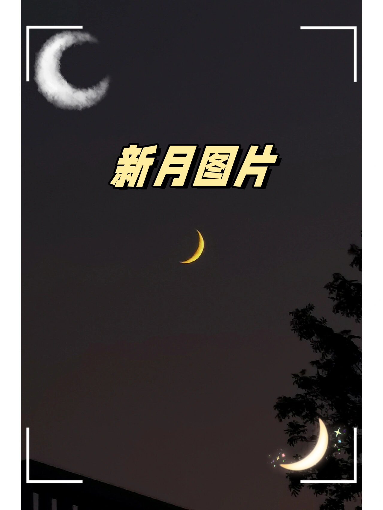 月亮高挂在天空,洒下银辉,如梦如幻