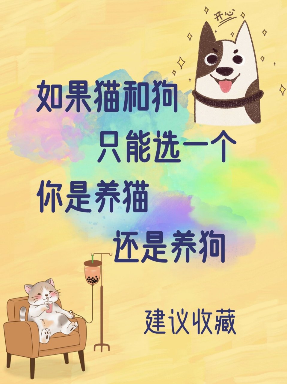 看这里 养猫还是养狗,这真的是个让人纠结的问题.