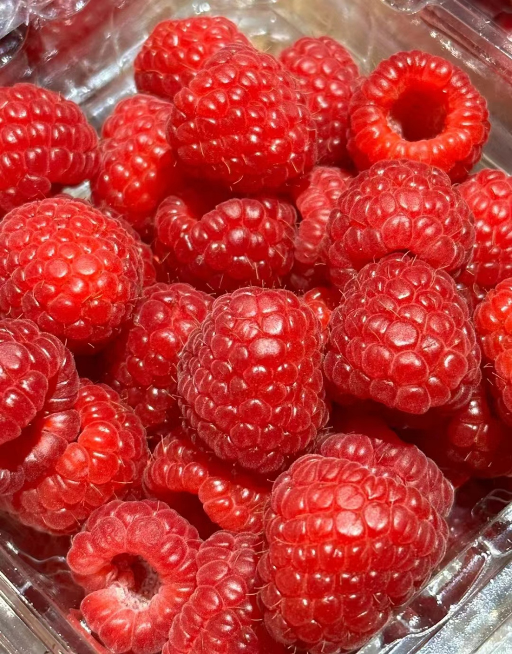 红树莓/ 回忆里的果实 🫧 童年记忆 田间地头,树丛深处