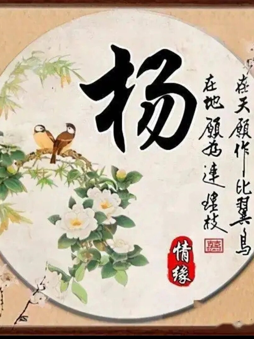 杨字图片个性头像  "杨",这个字如同春天里舞动的柳絮,轻盈而自由.