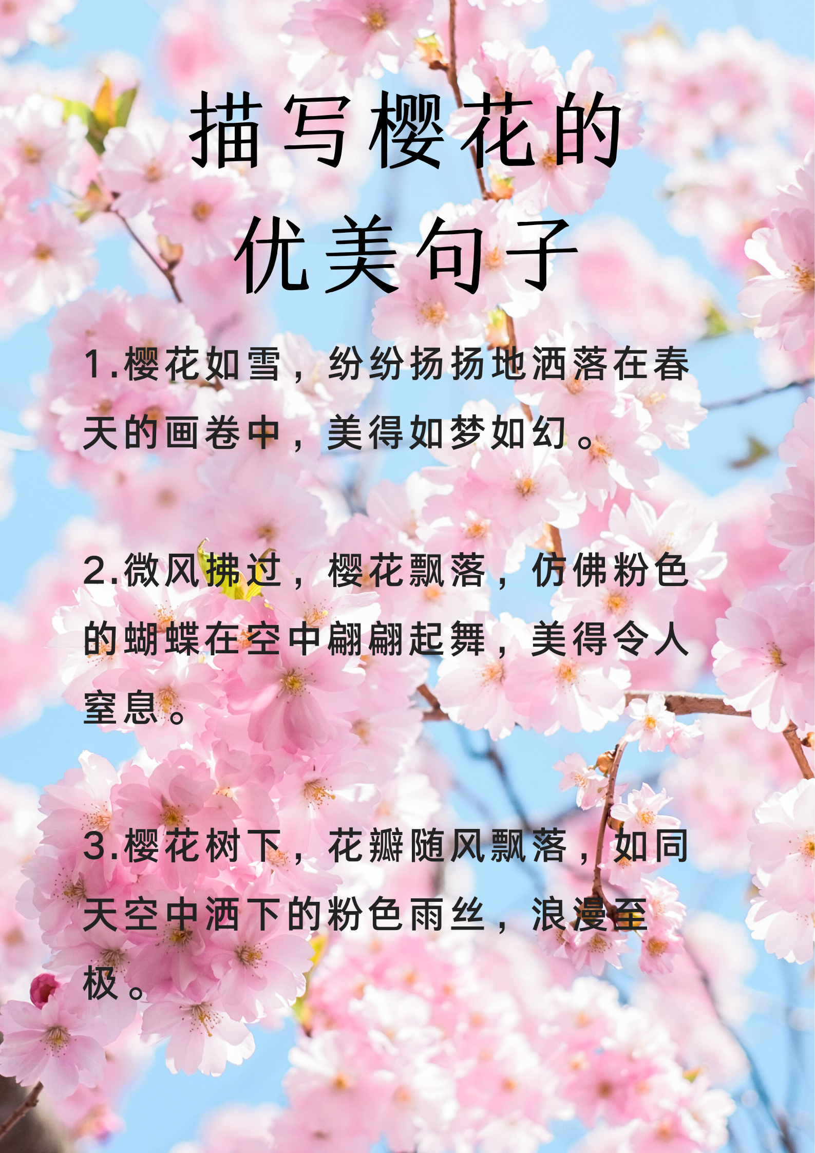 描写樱花的优美句子