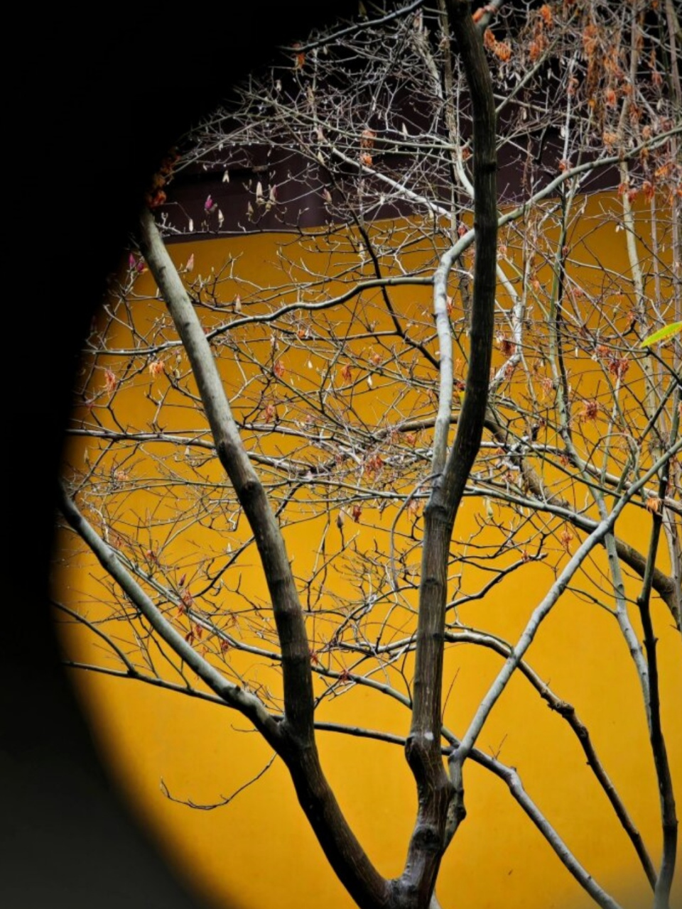 这算摄影眼吗  9815图前景构图技巧92:  ① 可以巧妙地利用瓦片