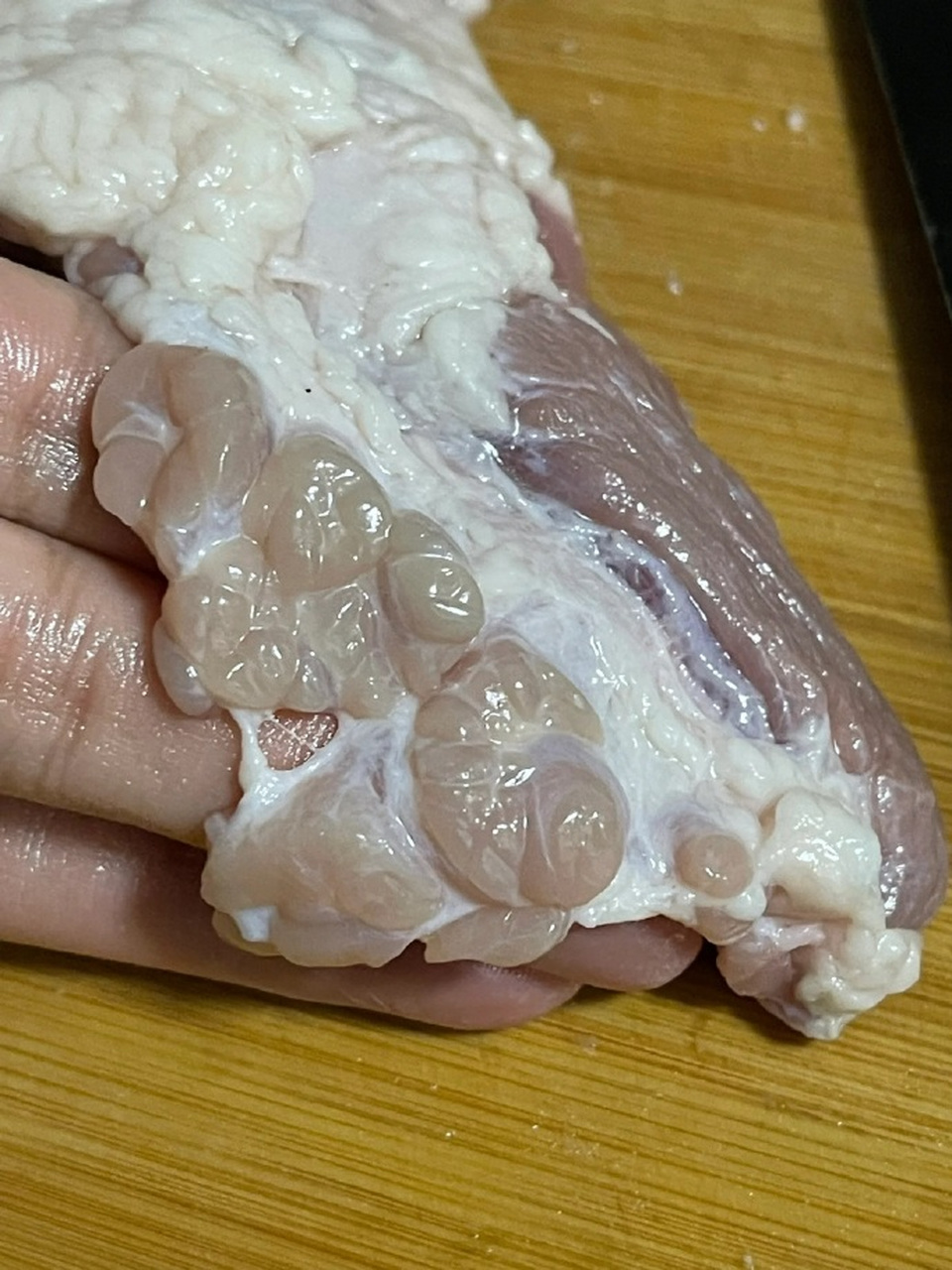 第一次直观地看清真正的淋巴肉. 67