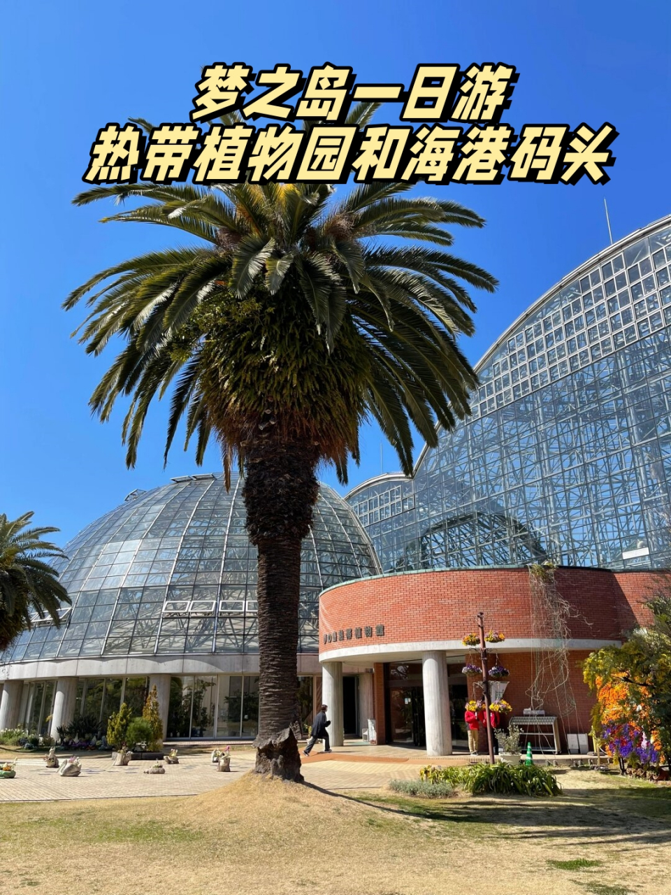 梦之岛一日游,热带植物园和海港码头  今天东京的风真是大得可以,本来