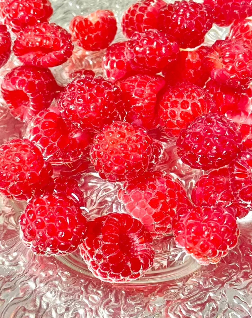 红树莓/ 回忆里的果实 🫧 童年记忆 田间地头,树丛深处