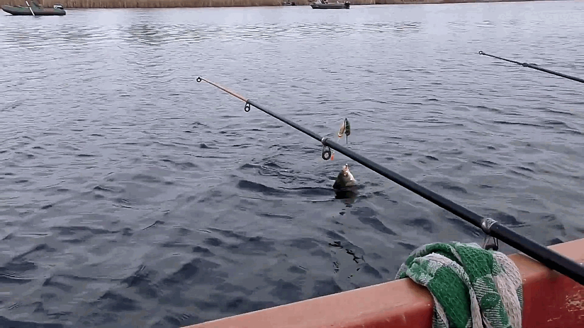 钓鱼浮漂一直没信号,不是水里没鱼,而是有些细节没做好