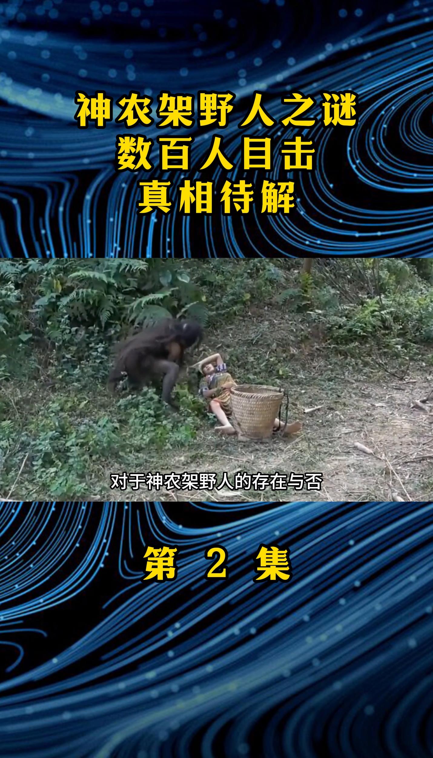 神农架野人之谜数百人目击真相待解