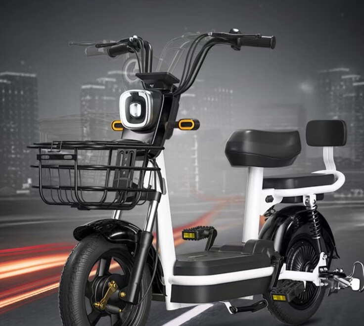 这款成人电动自行车符合新国家标准,可提取充电,非常便捷实用