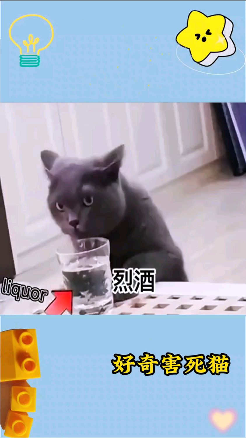 好奇害死猫,喝醉了