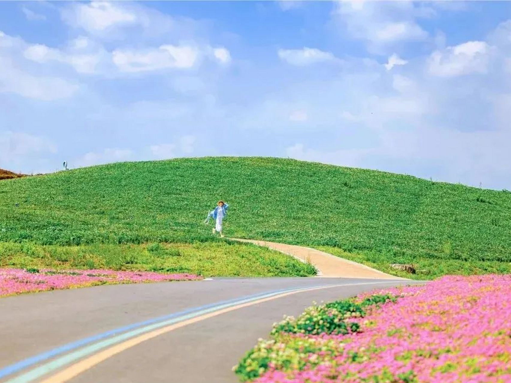 向春天出发#成都七彩田野,春天的画卷,赏花的仙境.