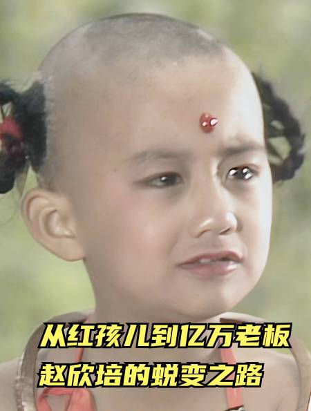 从红孩儿到亿万老板赵欣培的蜕变之路