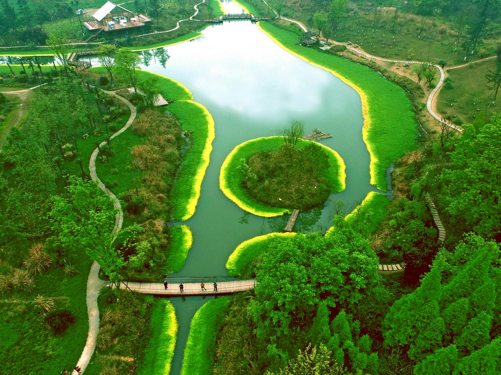 桤木河湿地公园地图图片