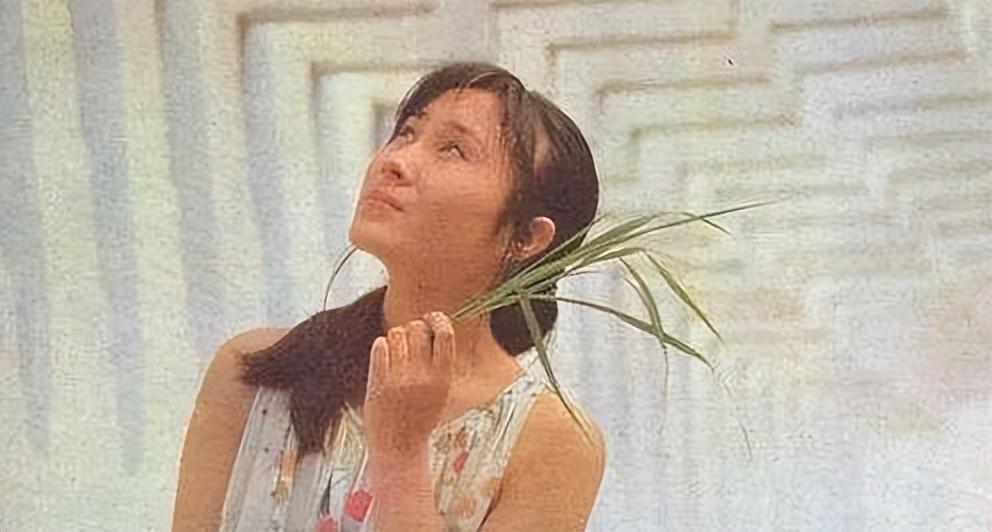 回顾牧羊女丁岚自毁前程弃国籍离婚30年后她后悔了吗