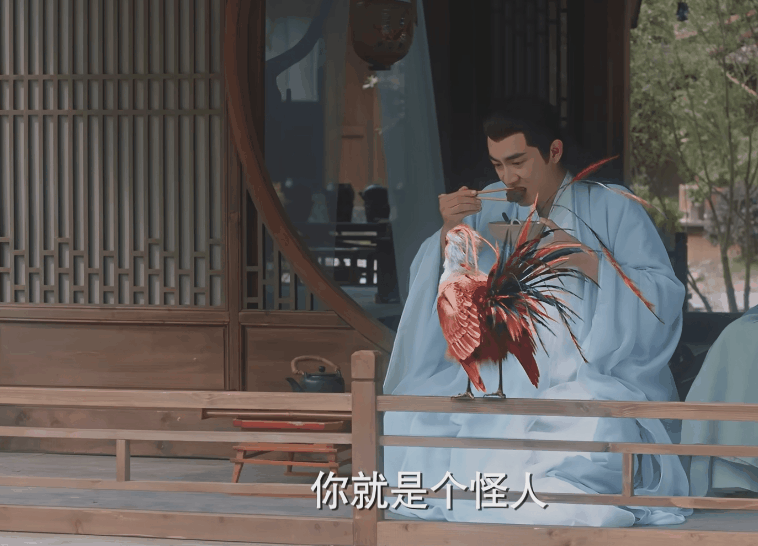 不会就别尬演与凤行林更新假吃明显观众大开眼界