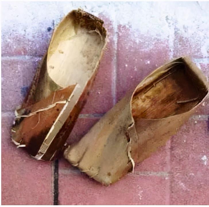 开国大将王树声为革命打劫自己家亲手砍下舅公的脑袋