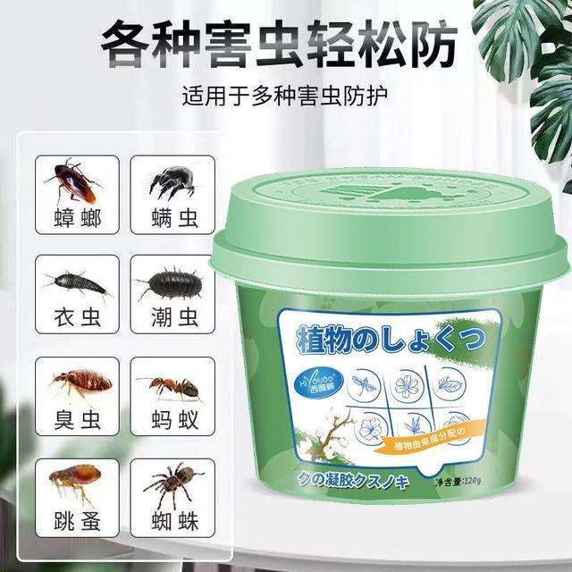 肥皂水杀蚊子图片