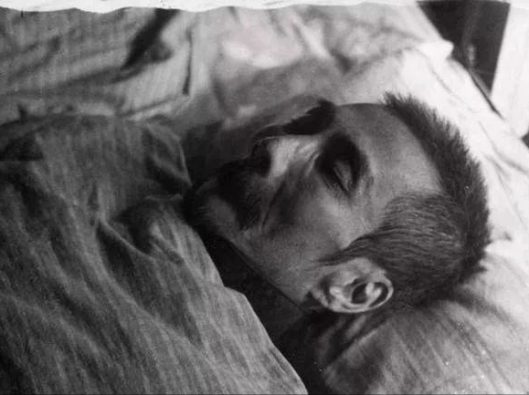 清晨,周海婴从沉睡中醒来时,便觉出那个早上与平日的不同.