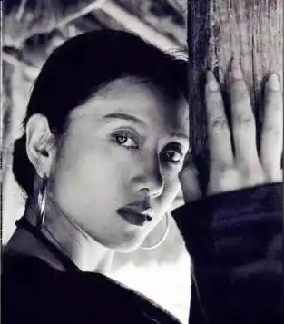 回顾杨丽萍与富商刘淳晴结婚7年无儿无女离婚后她怎样了