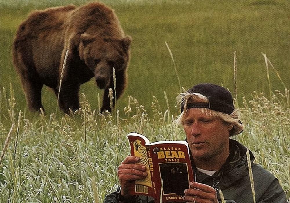 吃了提摩西和女友的棕熊,来自于卡特迈国家公园深处,是一头提摩西不