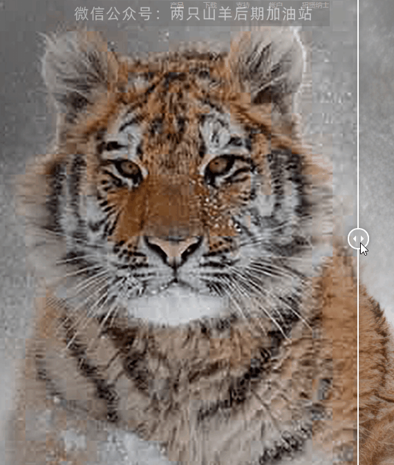 ai创成式填充topazphotoai242汉化版来了简直如虎添翼