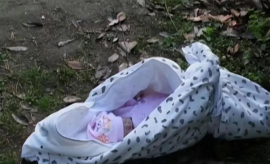 1987年陕西农妇捡两名女婴姐妹俩考上研究生用百万房产报答