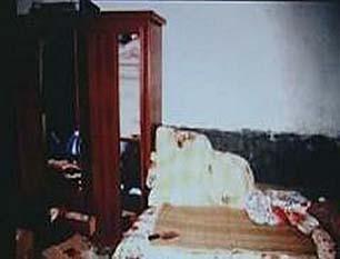 03年警方抓捕杨新海归案庭审材料高达半米专案组有仇女心理