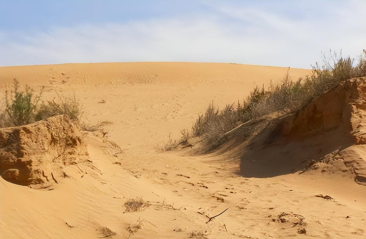 85年陕西女孩被迫嫁到沙漠几次逃离未果15年后国家为她颁奖