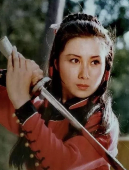 回顾丁岚巅峰时远走他乡回国后经商成亿万富婆58岁仍孤身一人