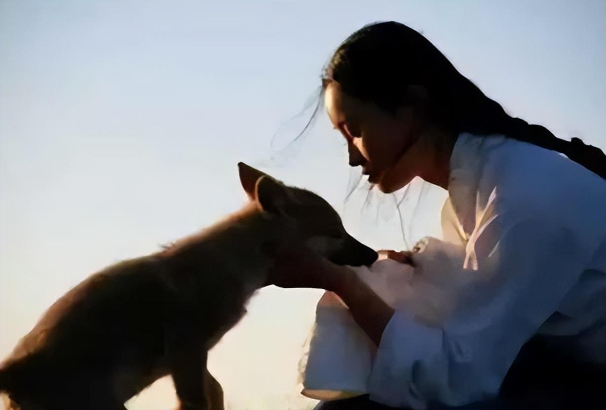 回顾一位成都女孩把一匹狼当儿子带回家10年后在草原再相认