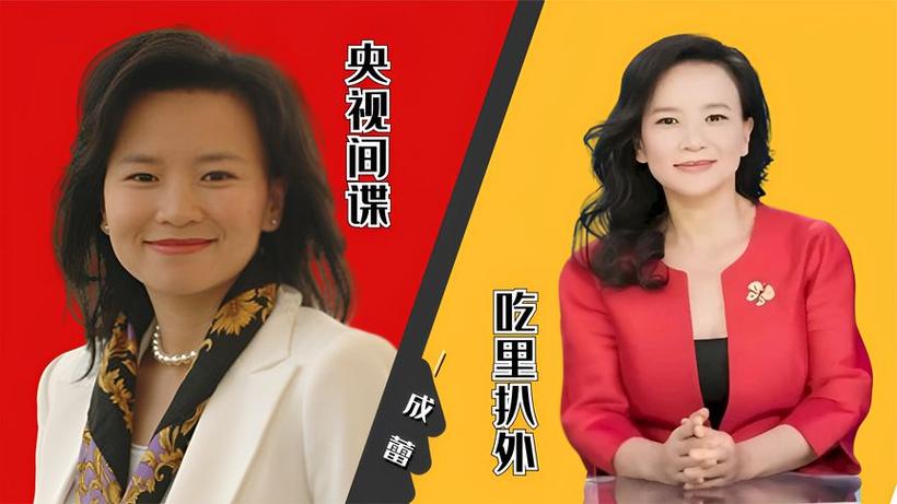 回顾成蕾藏身央视二十年因口误暴露间谍身份结局大快人心