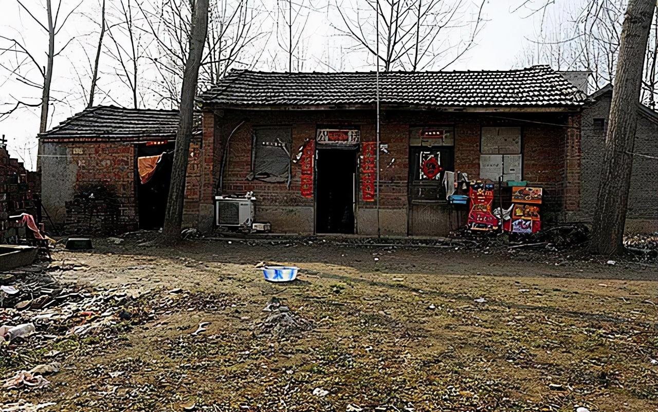 农村娃18岁考上北大全村凑钱赠路费百亿身价后为全村送别墅